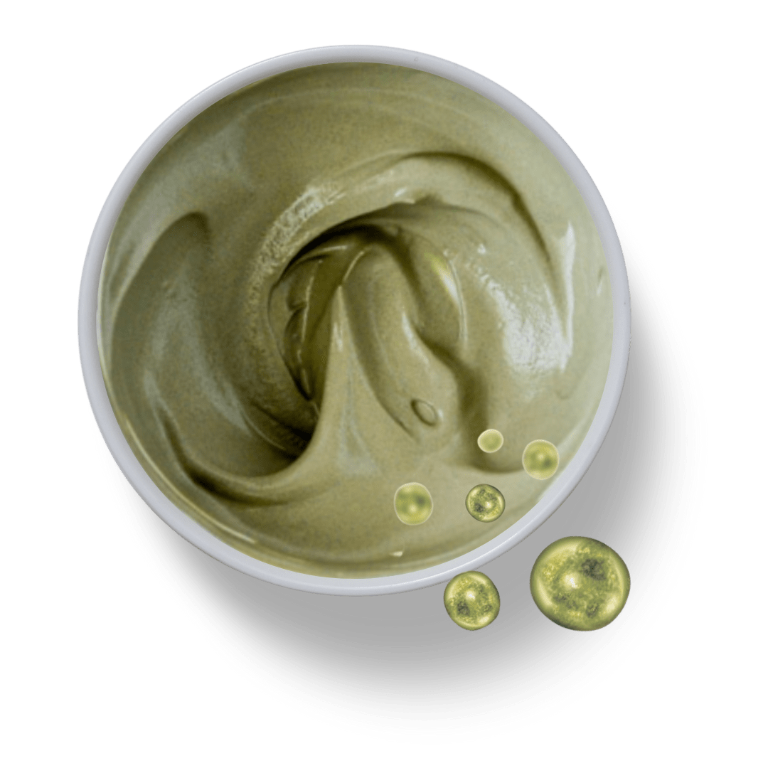 Chlorella