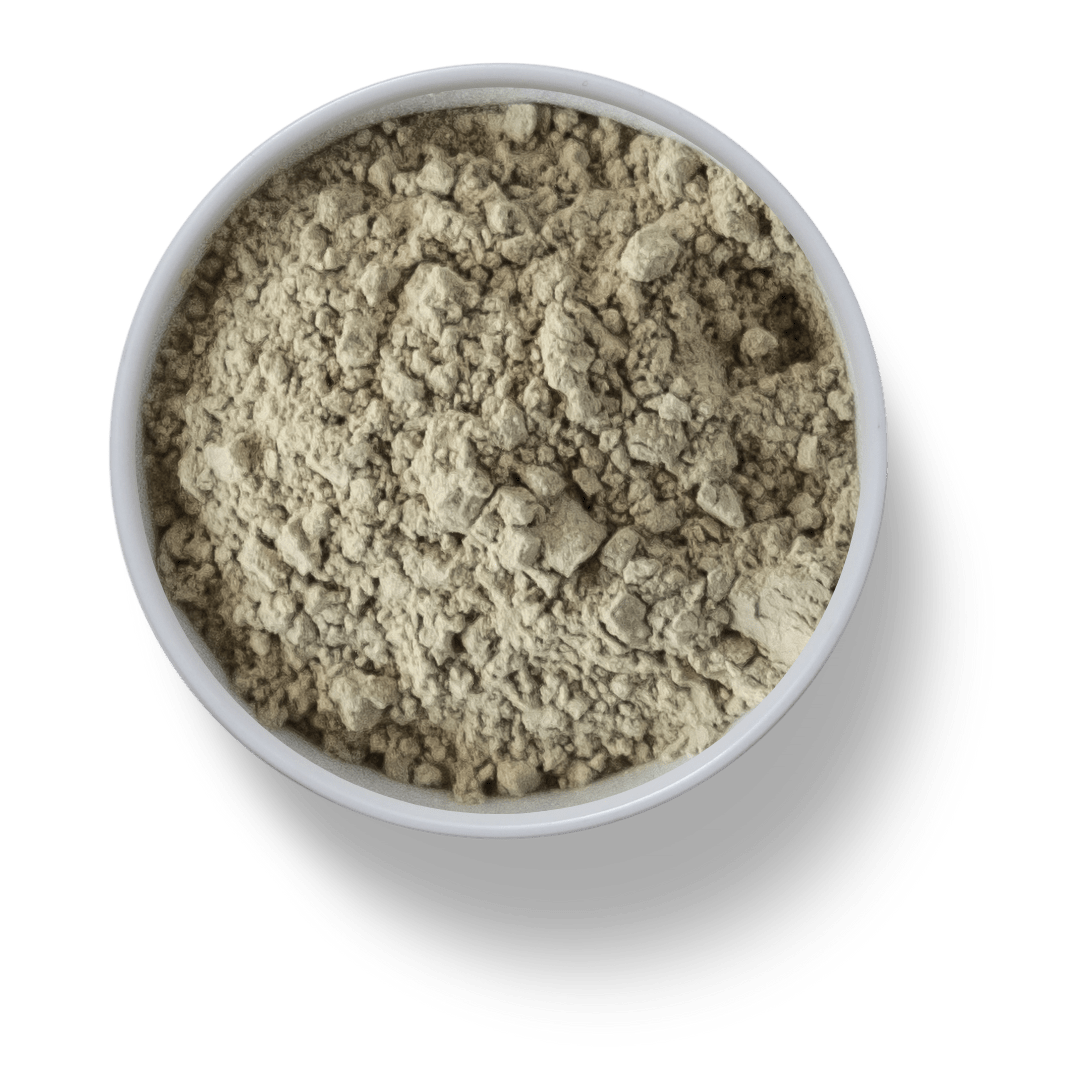 Chlorella2