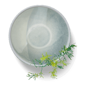 SPIRULINA EKSTRAKT