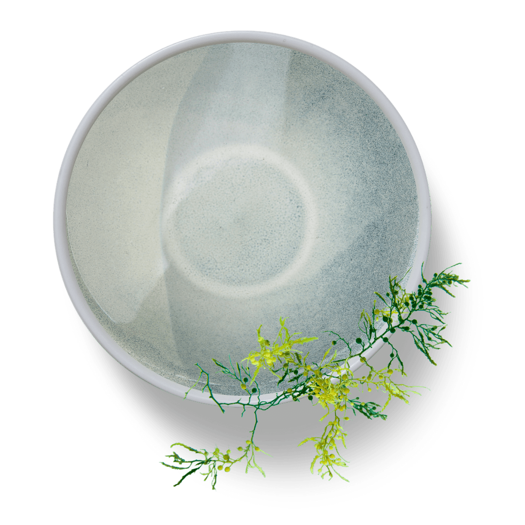 Spirulina ekstrakt