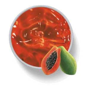PAPAYA & MELON KUR 1 kg