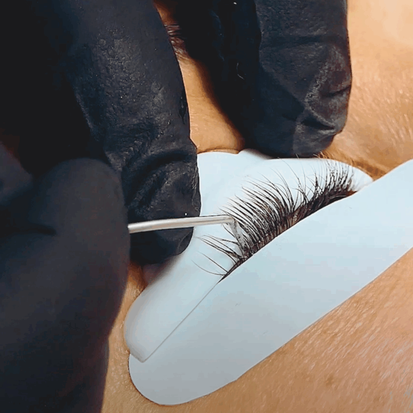 LASHLIFT (A) SHIELDS - SMALL - Image 2