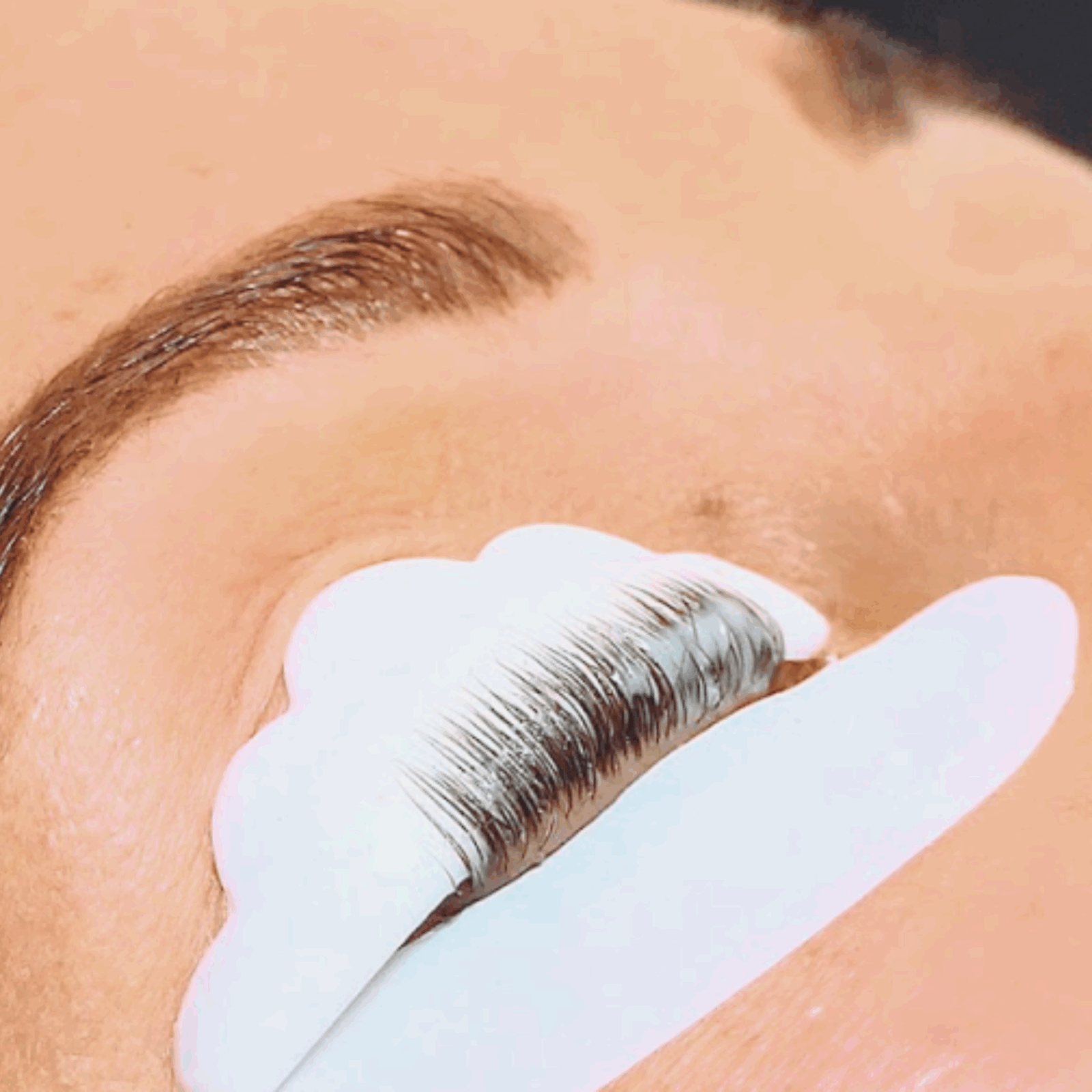 LASHLIFT (A) SHIELDS - SMALL - Image 3