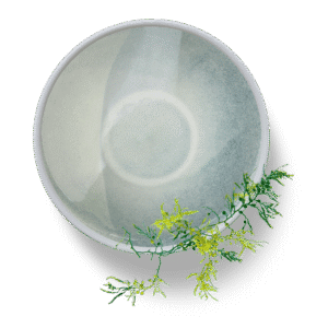 SPIRULINA EKSTRAKT