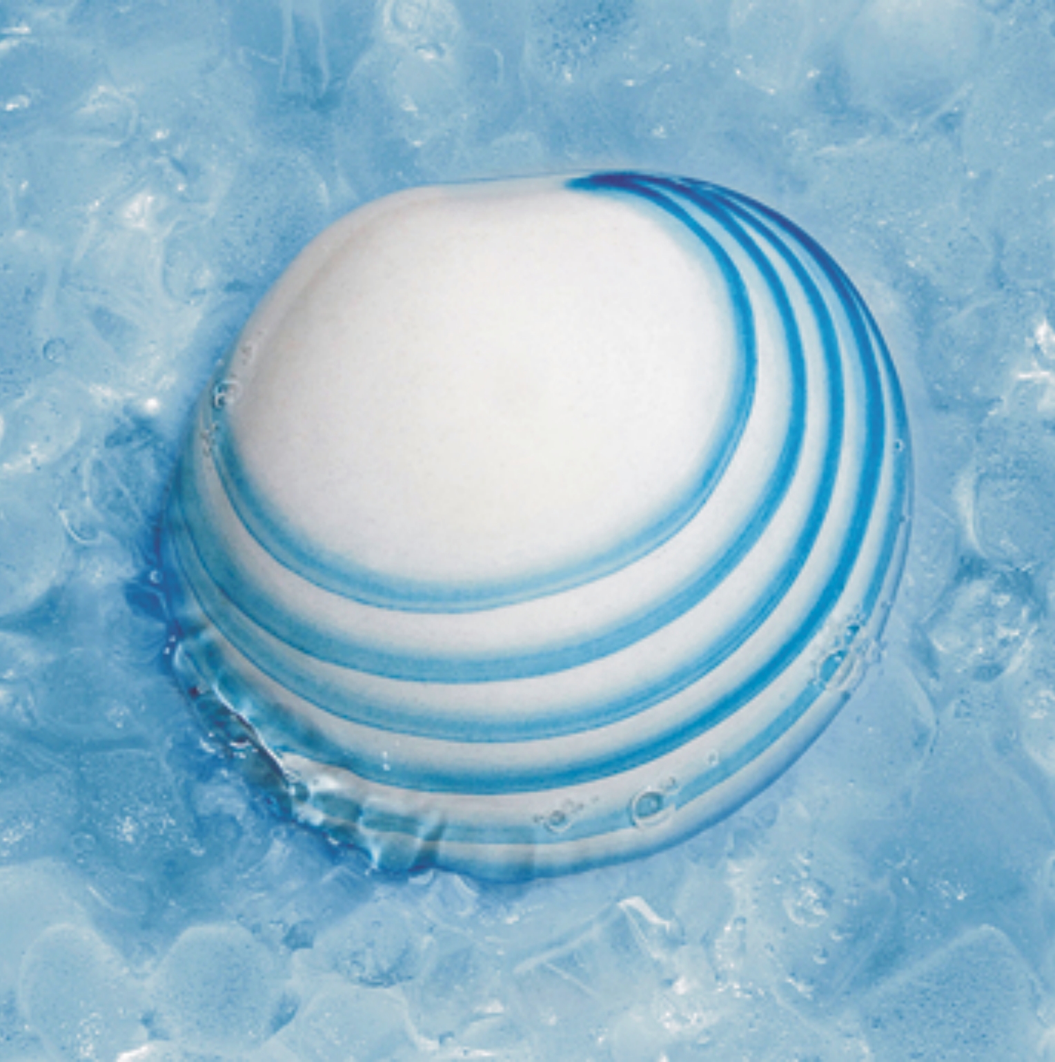 GLACIAL SHELLS STARTER KIT - Image 2